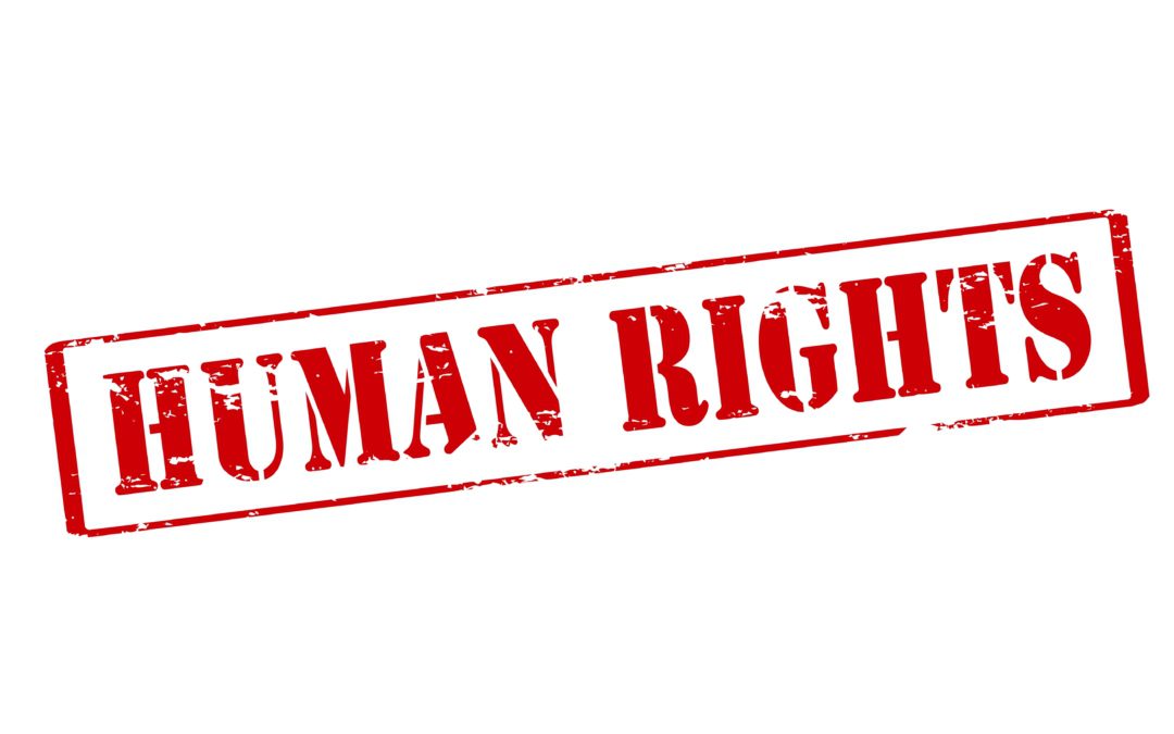 Internationalt Udvalg: DSU skal gå aktivt ind i kampen for menneskerettigheder